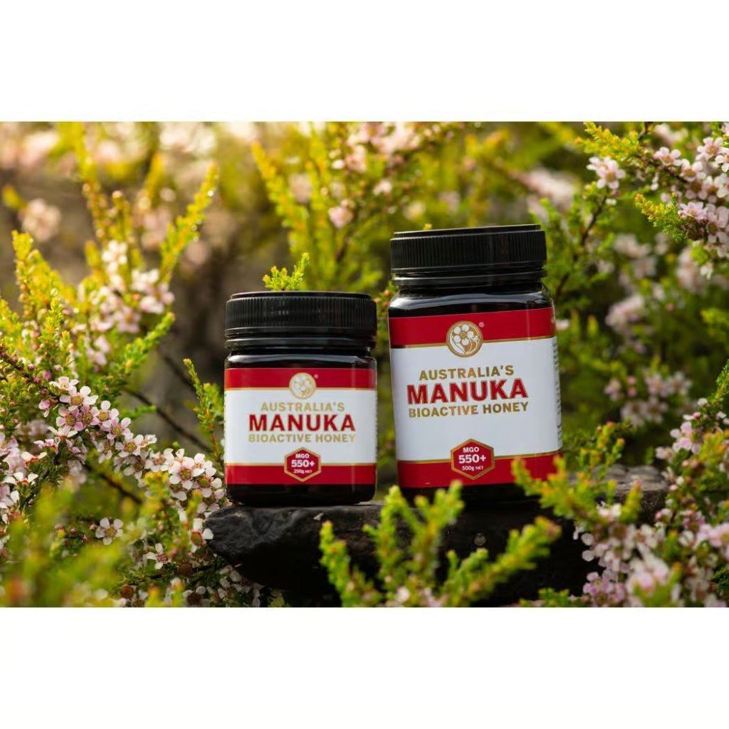 Australia's Manuka 澳洲麥盧卡 MGO550+/UMF15+ 蜂蜜 [維持消化健康]