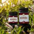 Australia's Manuka 澳洲麥盧卡 MGO850+/UMF20+ 蜂蜜 [緩解普通感冒症狀]