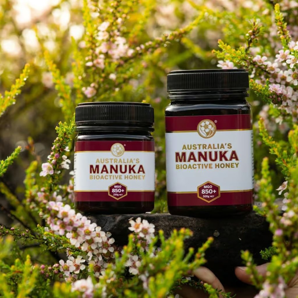 Australia's Manuka 澳洲麥盧卡 MGO850+/UMF20+ 蜂蜜 [緩解普通感冒症狀]